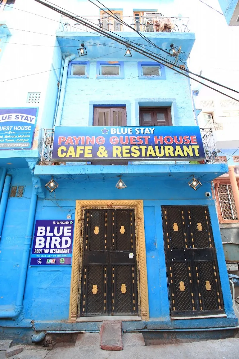 blue stay Jodhpur
