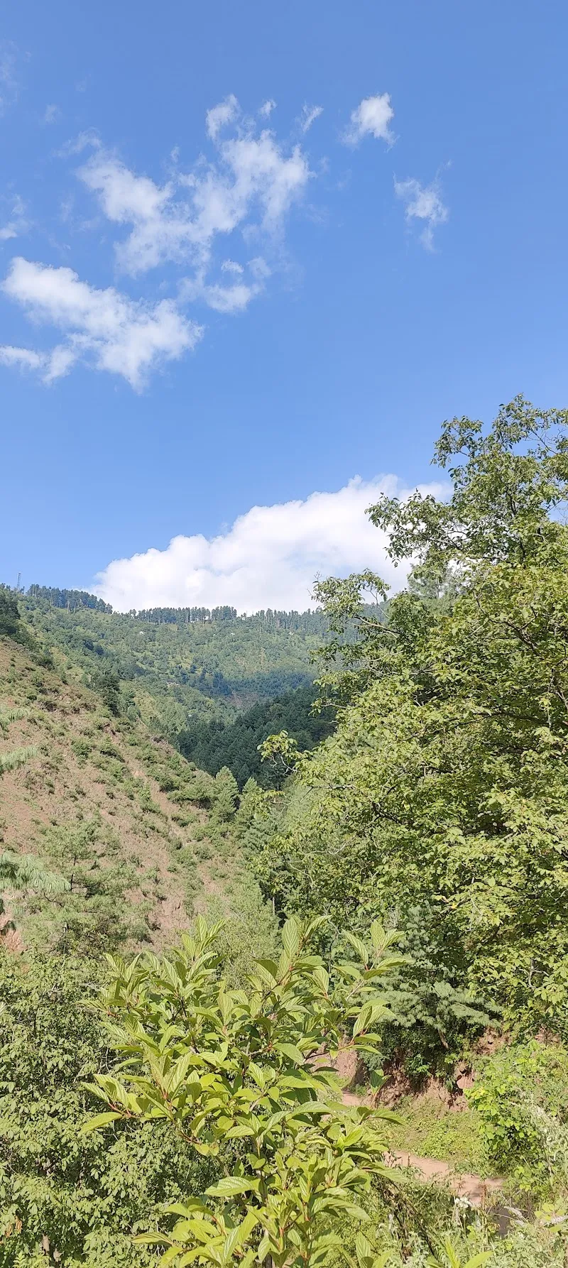 Uri