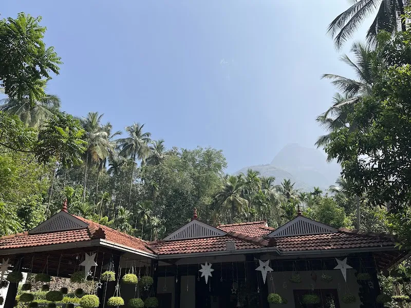 Stream Home Stay