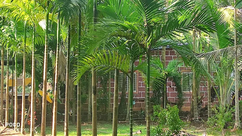 Amrapali Holiday Home