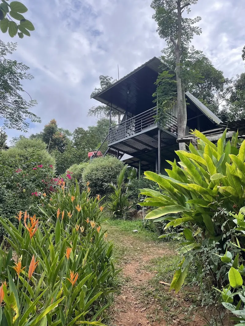Angels Nest Home stay kattikulam