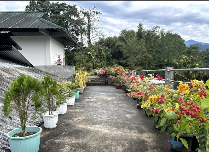 Gamying Homestay