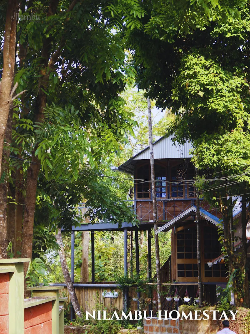 Nilambu homestay