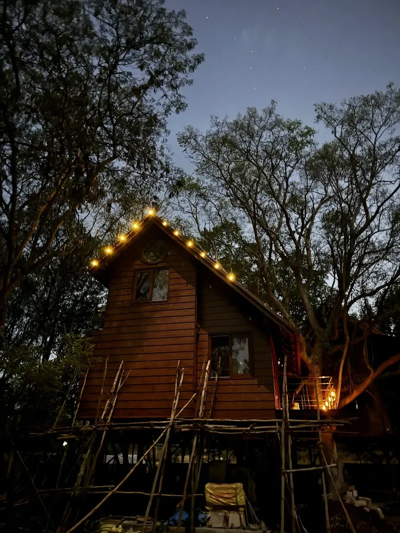 FireFly - The Treehouse Homestay