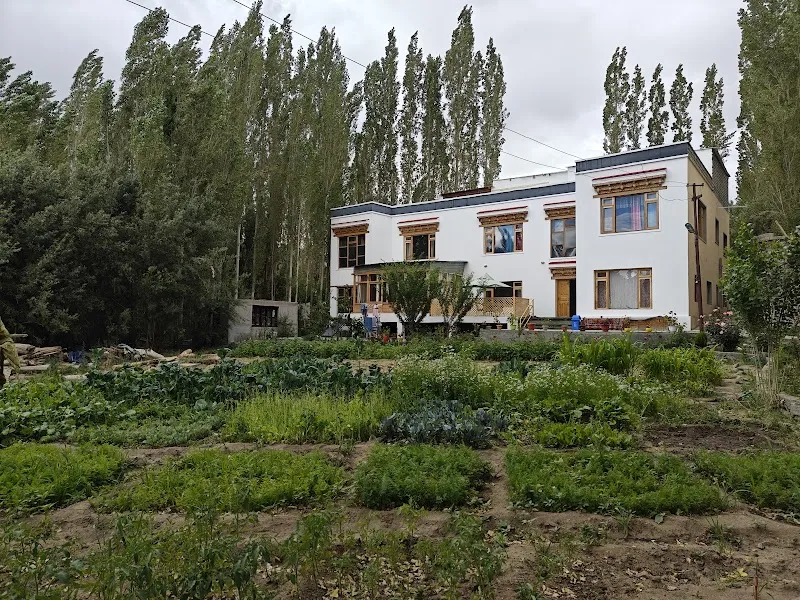 Kalam home stay