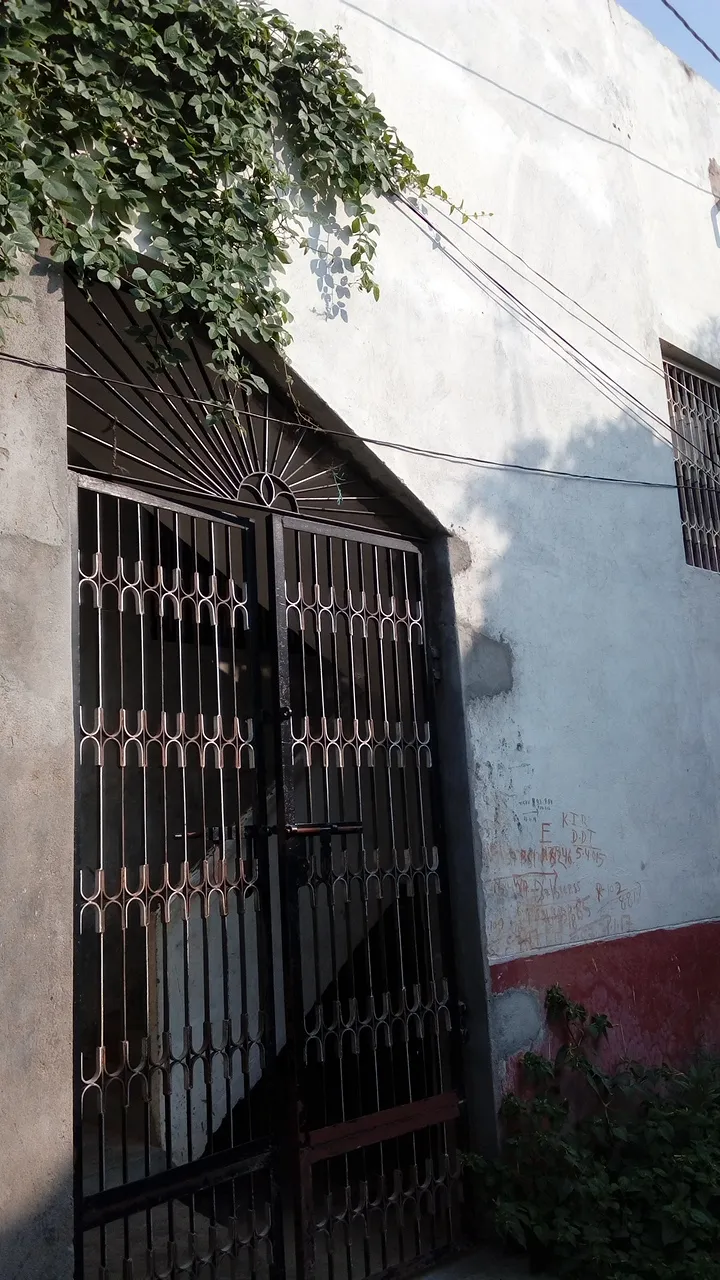 Vishwanath Bhawan