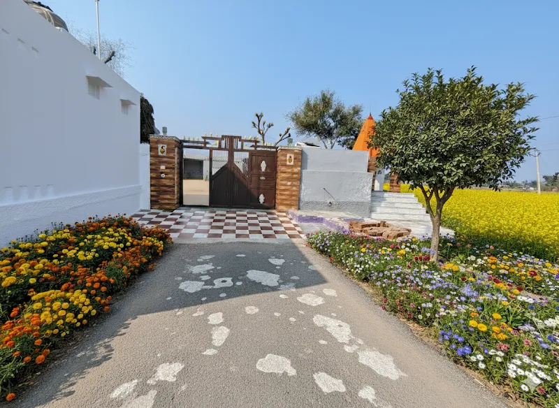 PHOGAT FARM BANJDOLI