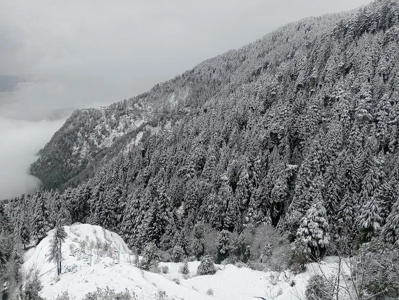 Wood valley Home stay