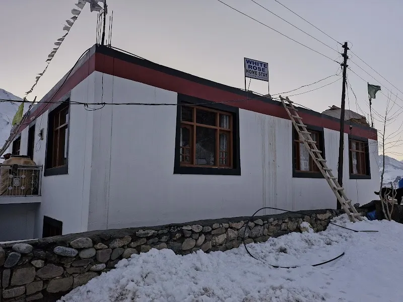 White rose homestay