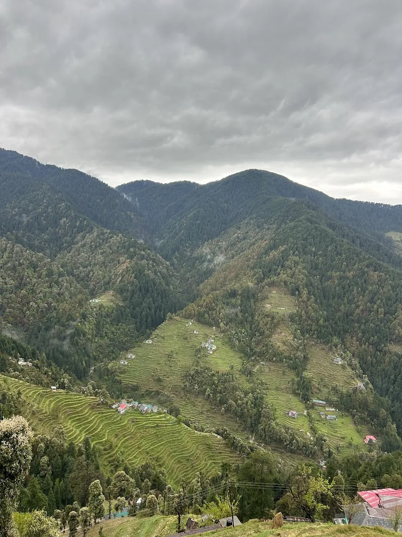 Khajjiar mystic offbeat home stay