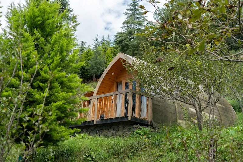 StayVista at Nirvana Dhar | Independent Villas with Pool in