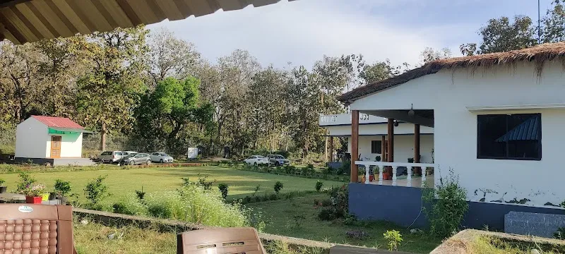 The Jungle Verse