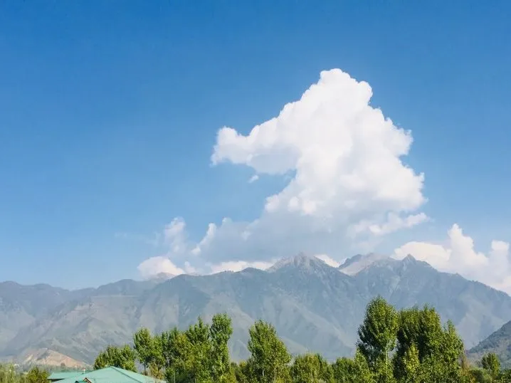 Gulnar Home Stay