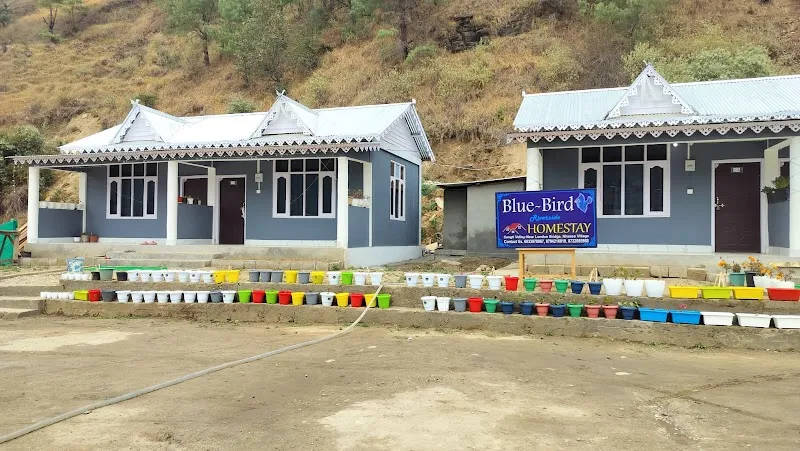 Bluebird Riverside Homestay