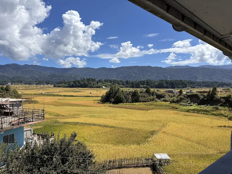Aba Jura Homestay