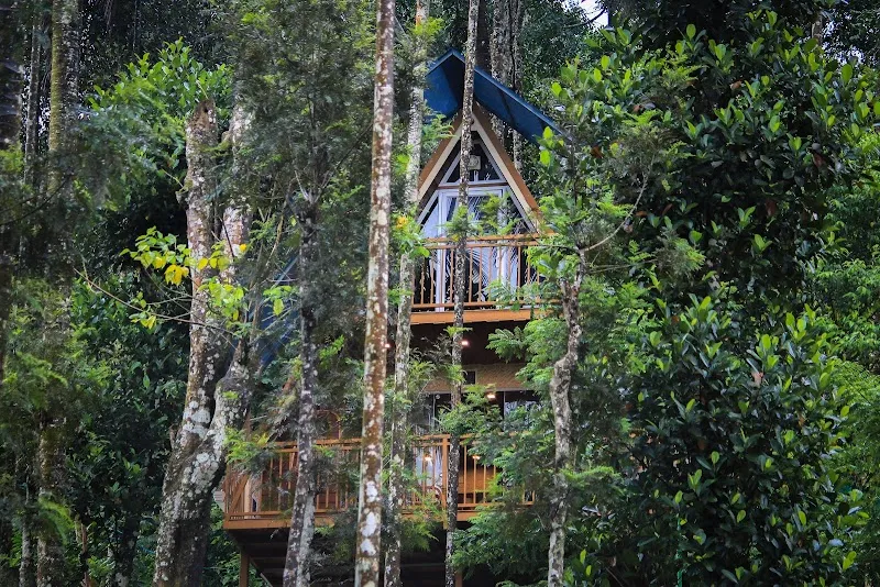Bodhi Hut (Premium Hut Stay ,Vythiri ,Wayanad)