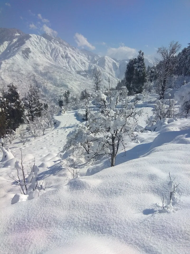 Partap Negi Homes