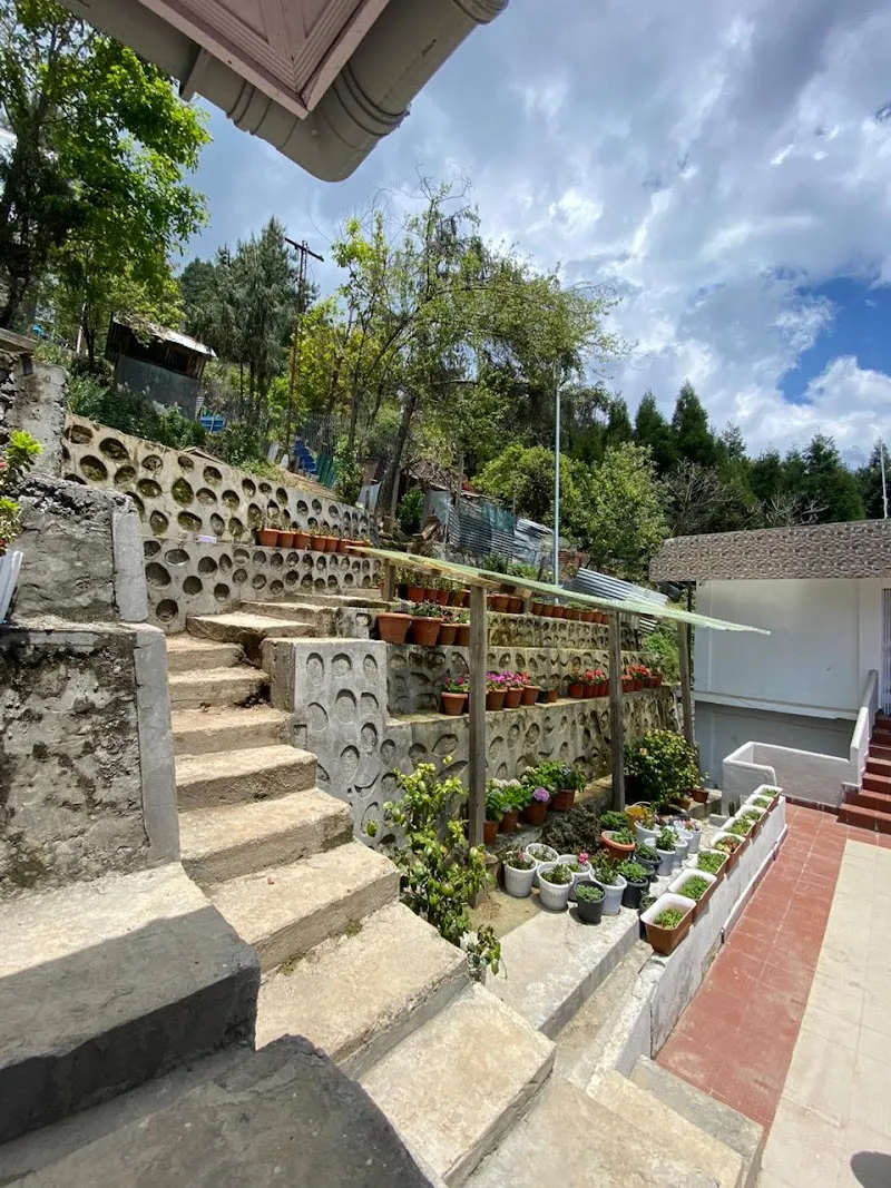 Seven sisters home stay