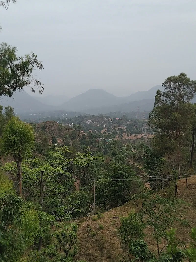 Dhaula Dhar View Home Stay and Dhaba