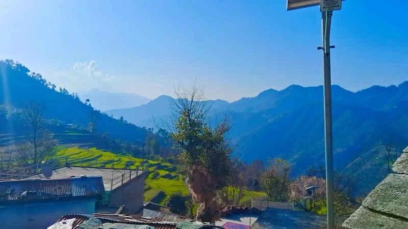 Laluri