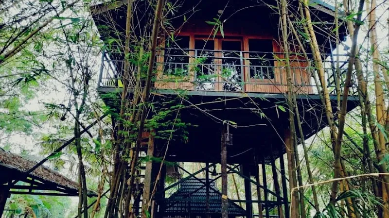 Greenlea Tree House