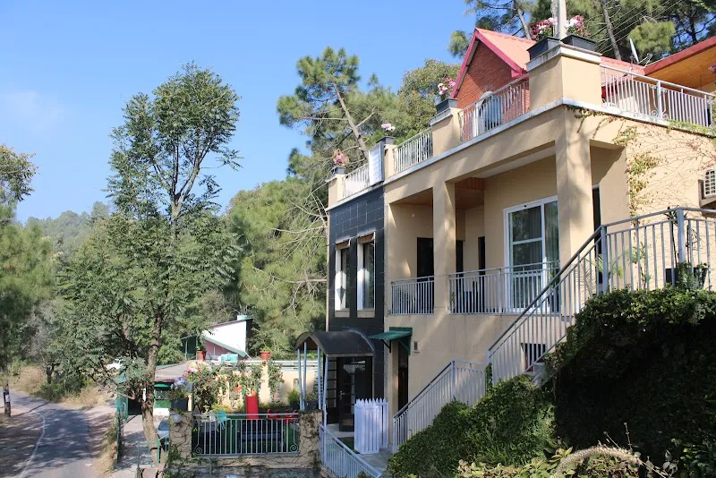 Timbuktoo kasauli Homestay