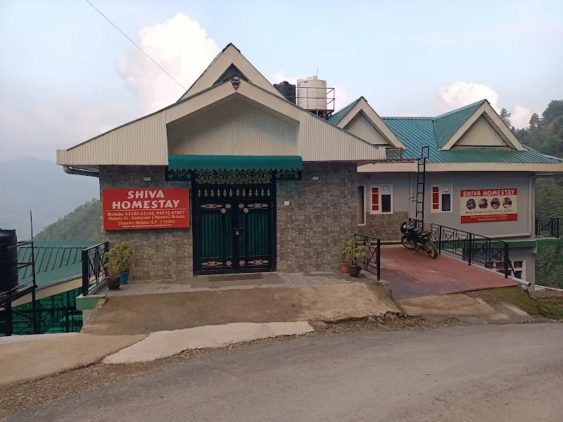 shivahomestayshimla