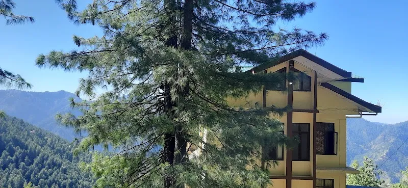 Best Homestay