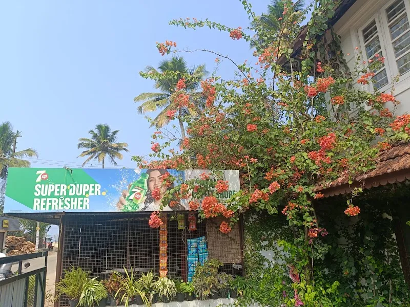 The Beach House