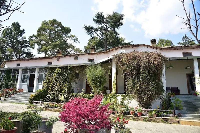 Deodar Homestay