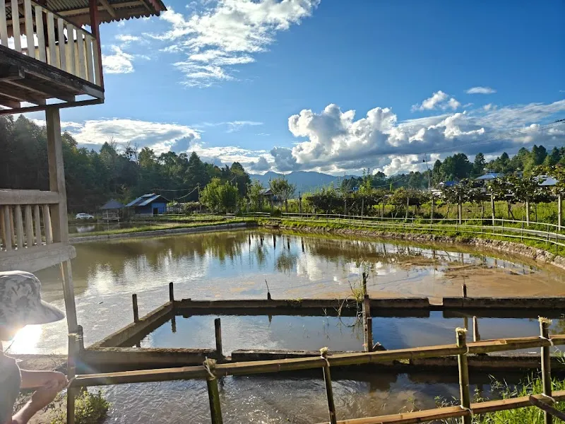 NATURE'S VIEW HOMESTAY