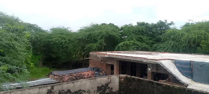 Rajputana house (babu)