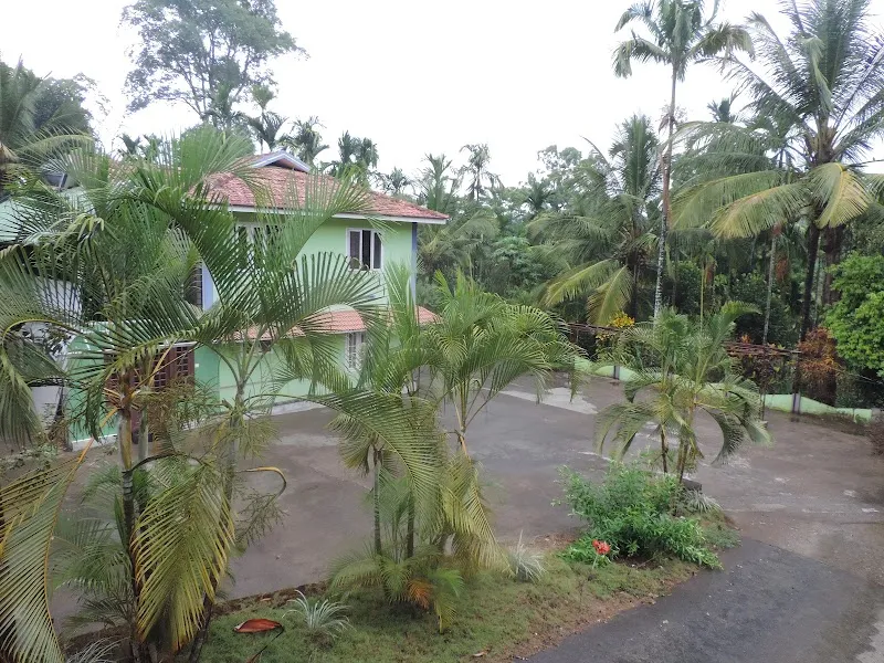 Wayanad Stay