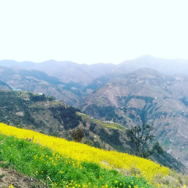 Home stay jagot velly