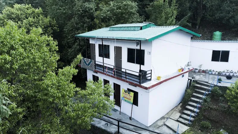 Jungal runs in home stay