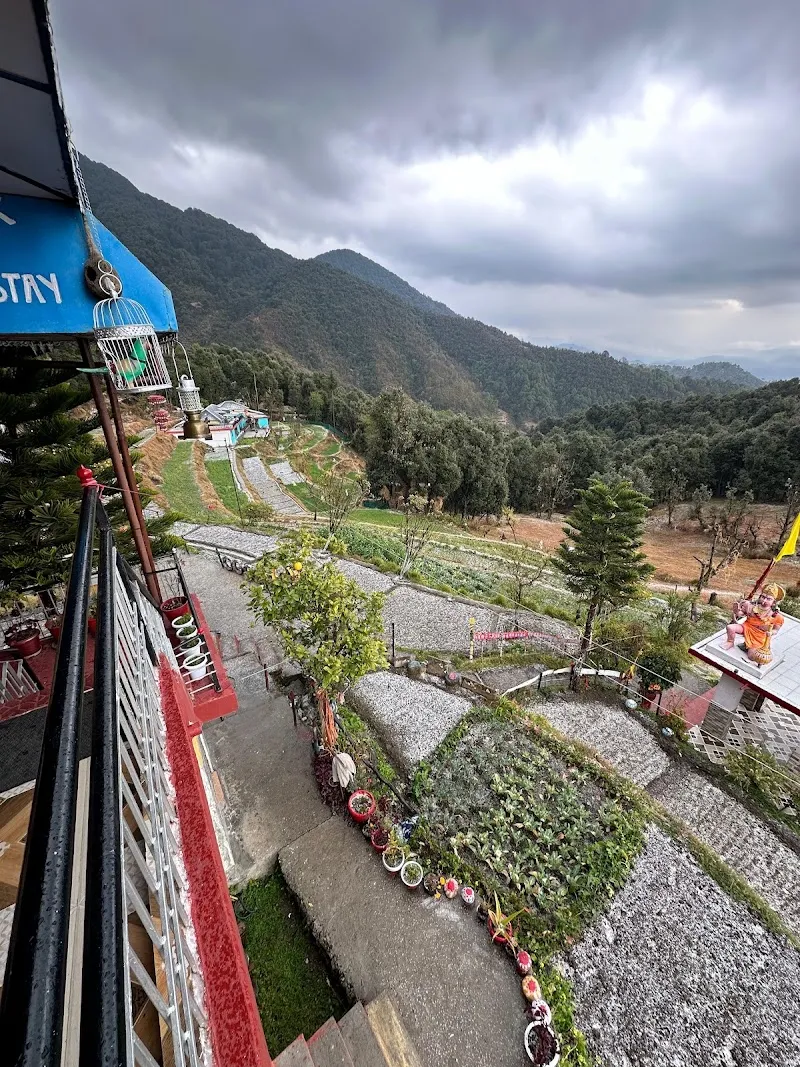 Dhauladhar hills homestay