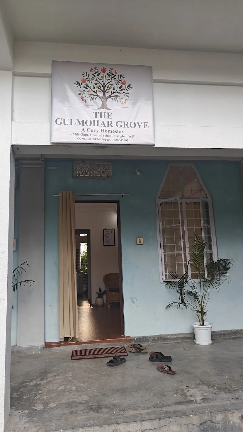The Gulmohar Grove