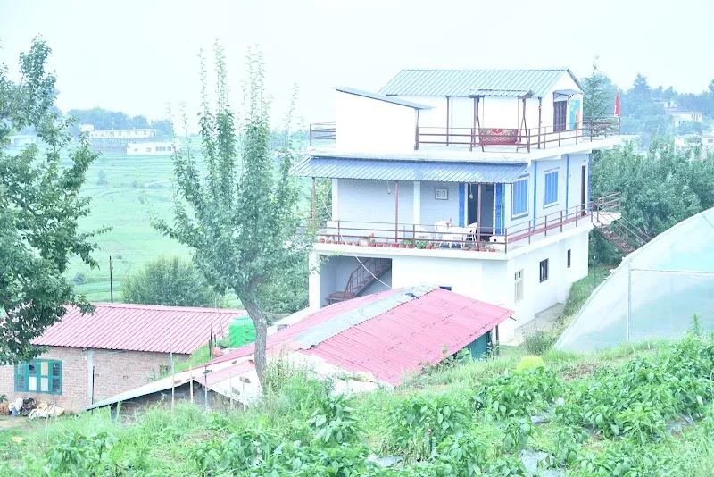 Shiv Dhwani Homestay Lohaghat