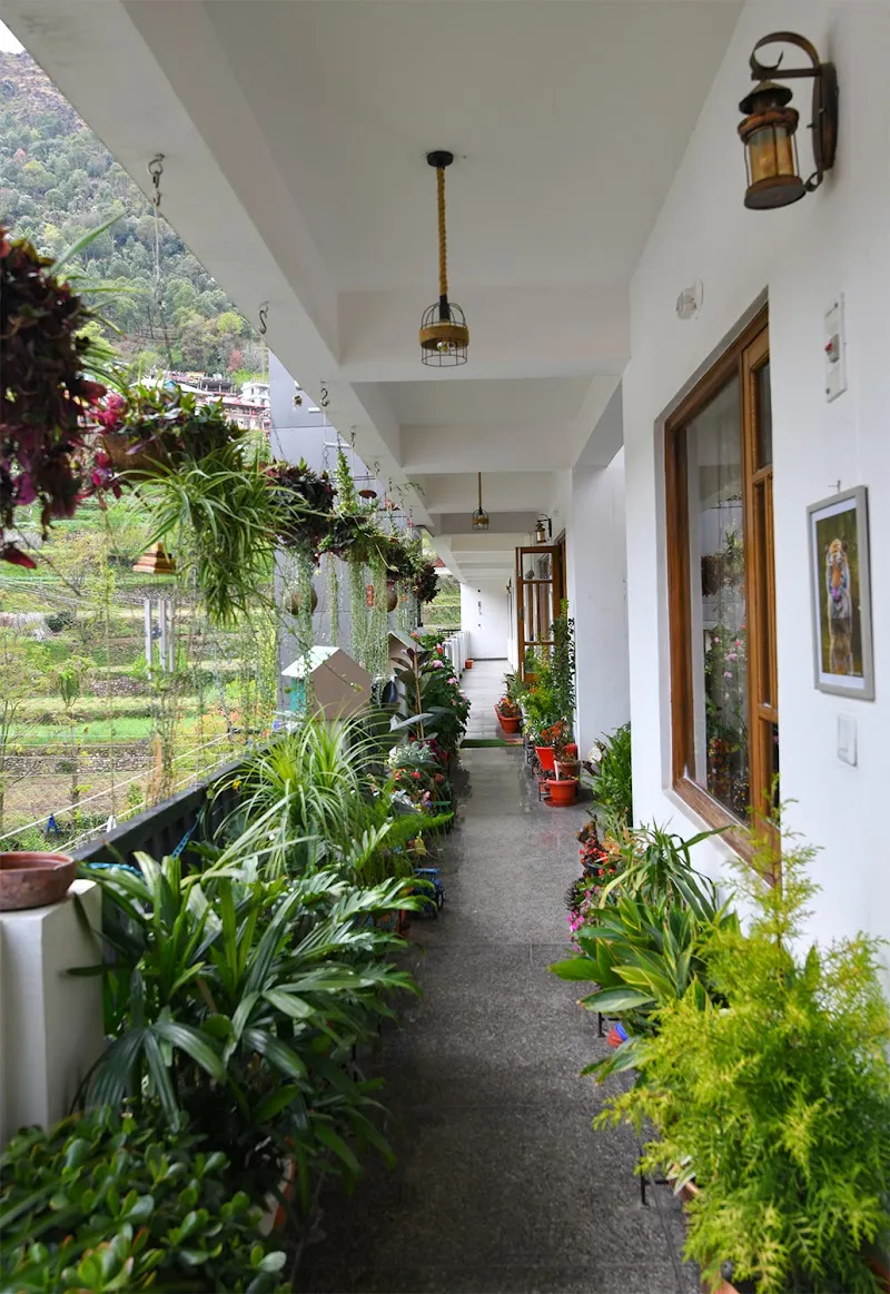 Cloud 9 Bed n Breakfast, Cloud 9 BnB, Cloud 9 Solan