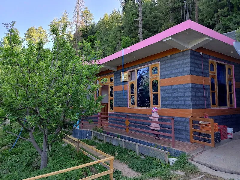 Royal Parshar lake home stay
