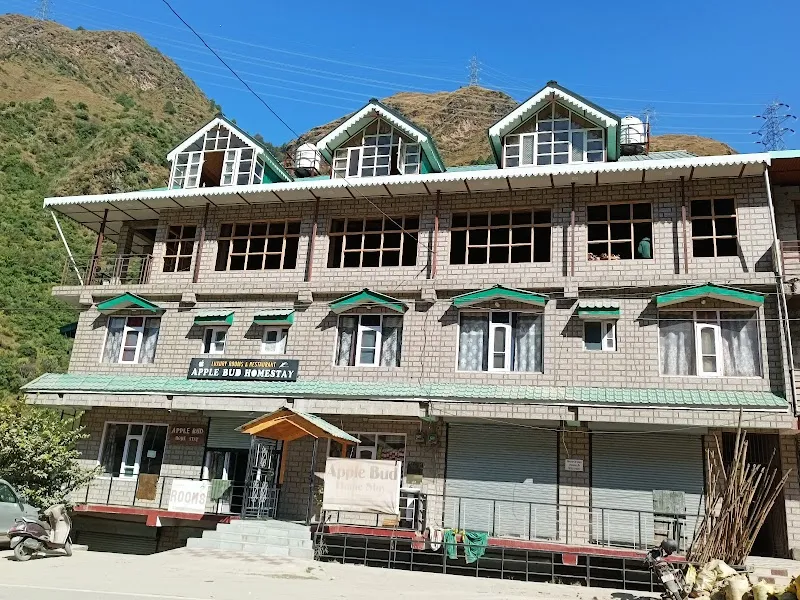 APPLE BUD HOMESTAY NEAR THEOG-KOTKHAI