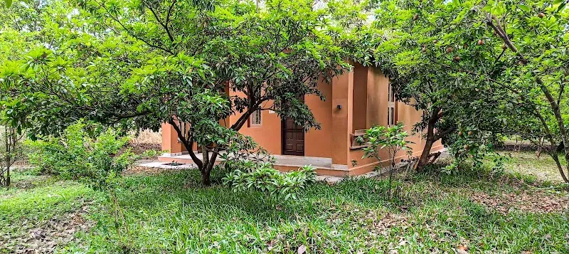 Locale House of Trees