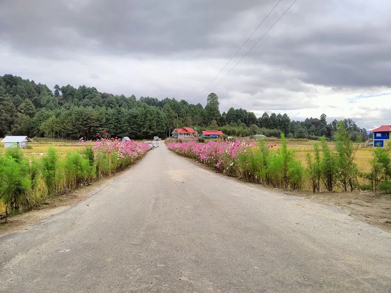 Byabya Home stay, Diire