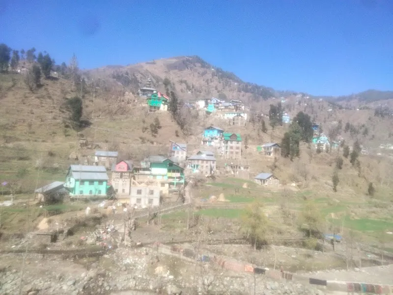 Mohd saleem house
